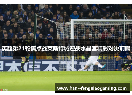 英超第21轮焦点战莱斯特城迎战水晶宫精彩对决前瞻 英超第21轮焦点战莱斯特城迎战水晶宫精彩对决前瞻