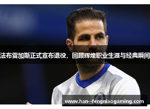 法布雷加斯正式宣布退役，回顾辉煌职业生涯与经典瞬间
