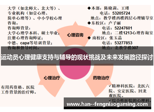 运动员心理健康支持与辅导的现状挑战及未来发展路径探讨
