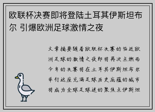 欧联杯决赛即将登陆土耳其伊斯坦布尔 引爆欧洲足球激情之夜