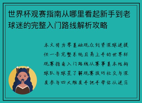 世界杯观赛指南从哪里看起新手到老球迷的完整入门路线解析攻略